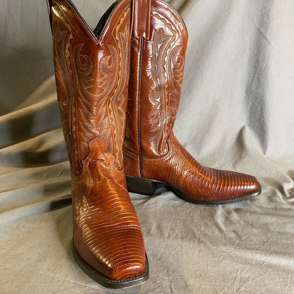 Dan Post Other - Dan Post Cayman Belly boots, size 9.5D